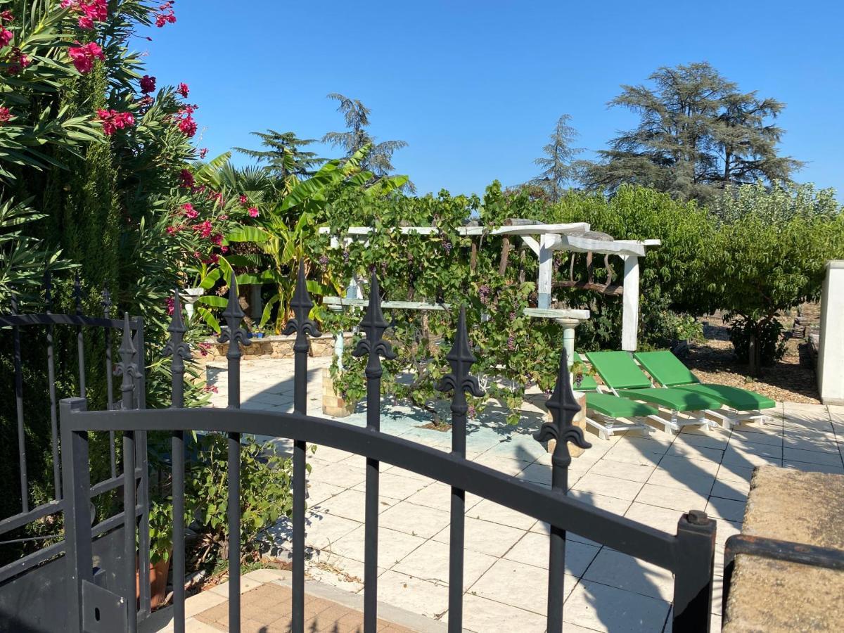 Chambres Privees Dans Maison Avec Grand Parc Et Piscine Proche Via Rhona Andancette Zewnętrze zdjęcie